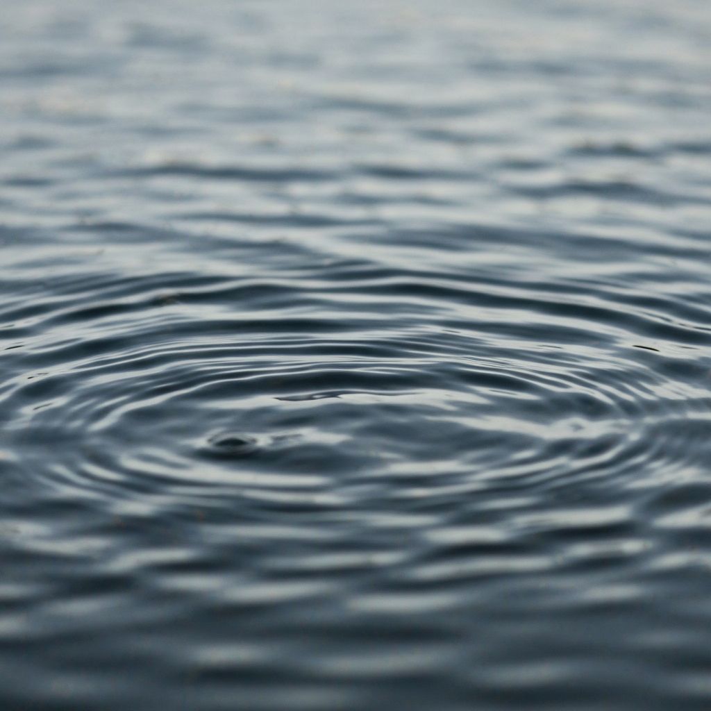 Appetite regulation representation